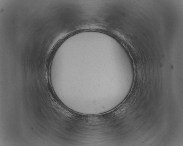 X0000073951408200609181349