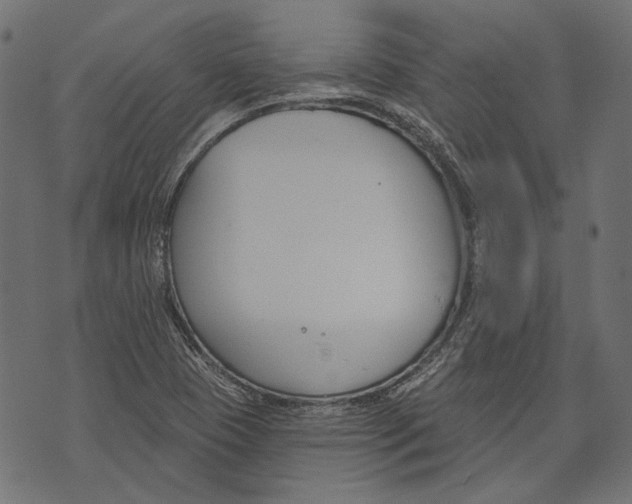 X0000073951409200609181349