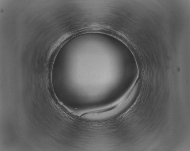 X0000073951410200609181349