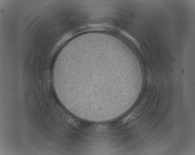 X0000073951411200609181349