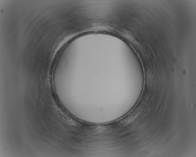 X0000073951412200609181349