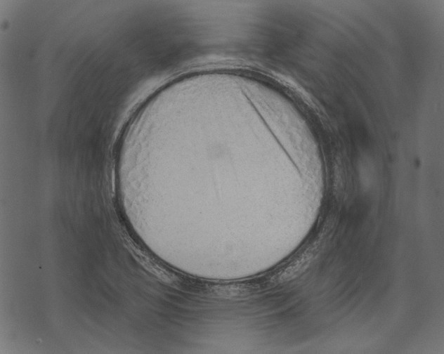 X0000073951413200609181349