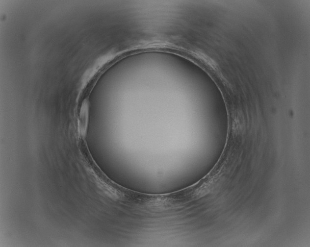 X0000073951414200609181349