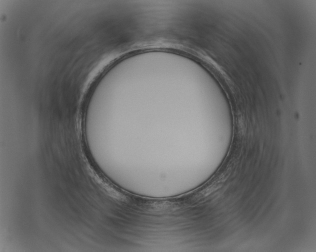 X0000073951416200609181350