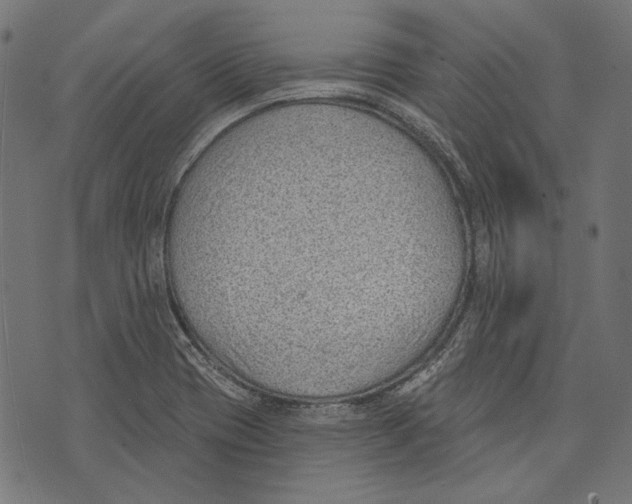 X0000073951417200609181350