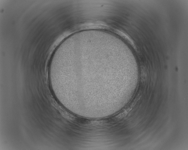 X0000073951419200609181350