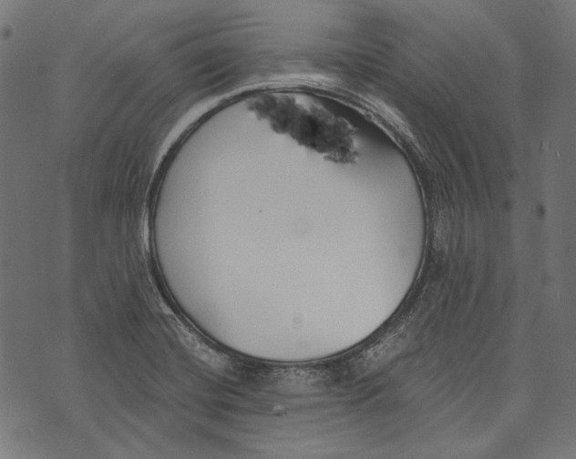 X0000073951420200609181350