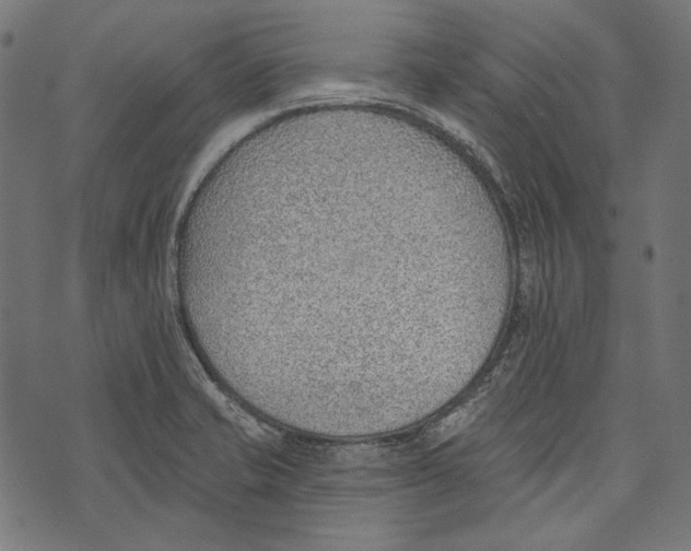 X0000073951421200609181350