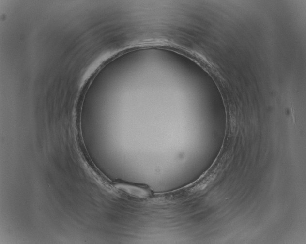 X0000073951422200609181350