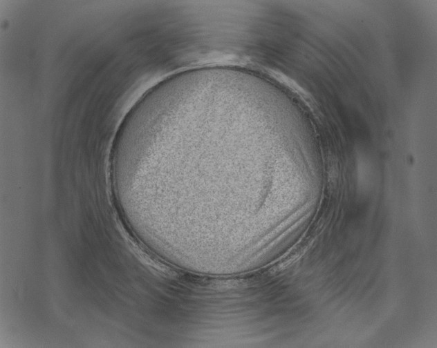 X0000073951423200609181350