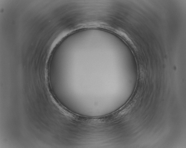 X0000073951424200609181350