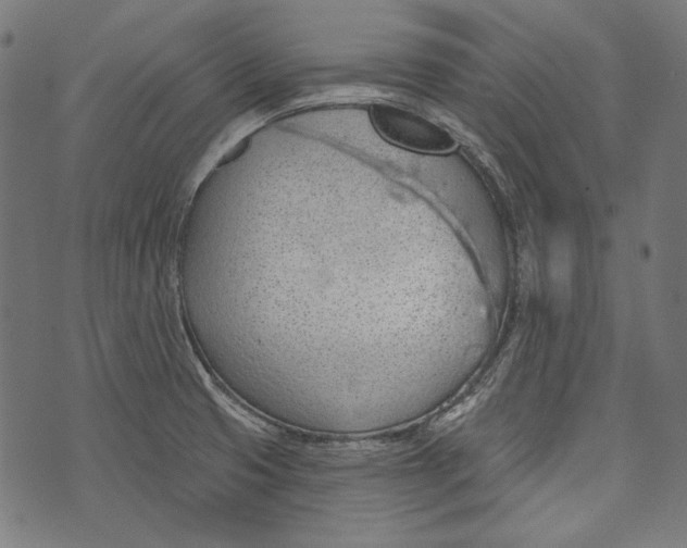 X0000073951425200609181350