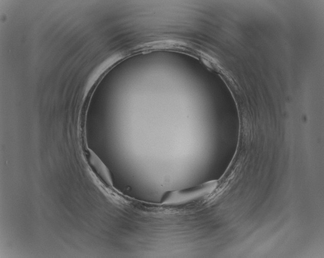 X0000073951426200609181350