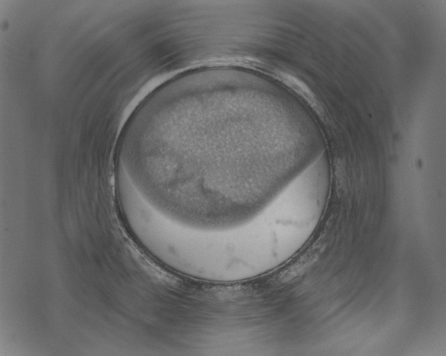 X0000073951428200609181350