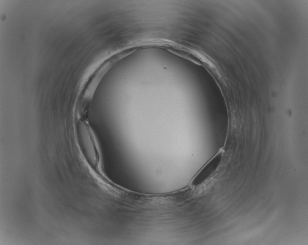 X0000073951430200609181350