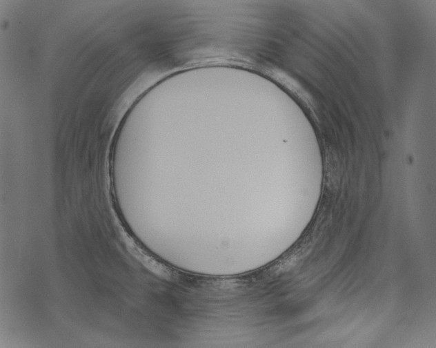 X0000073951431200609181350