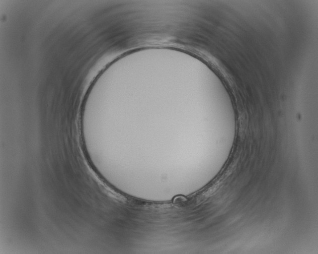 X0000073951432200609181350