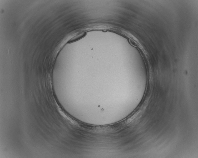 X0000073951433200609181350