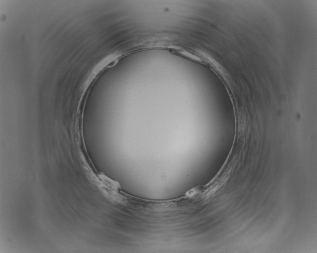 X0000073951434200609181350