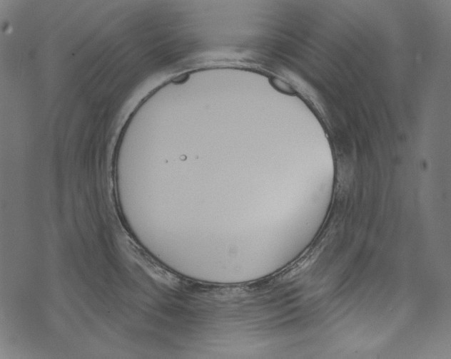 X0000073951435200609181350