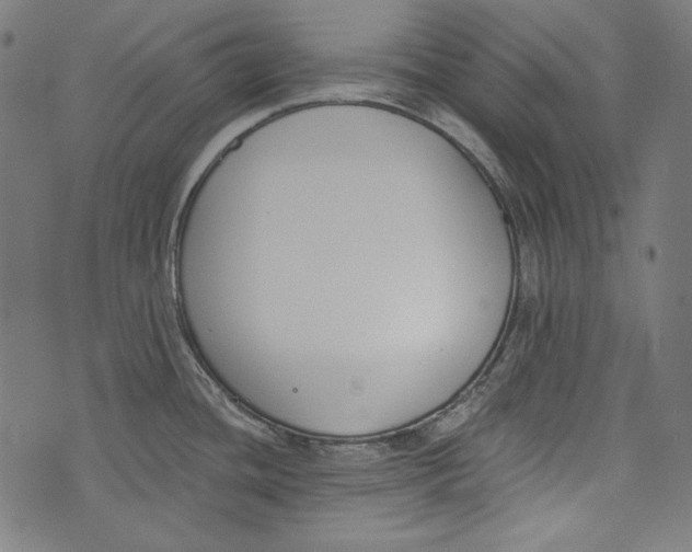 X0000073951436200609181350