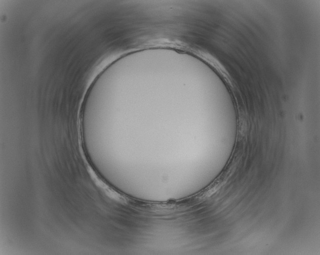 X0000073951439200609181350