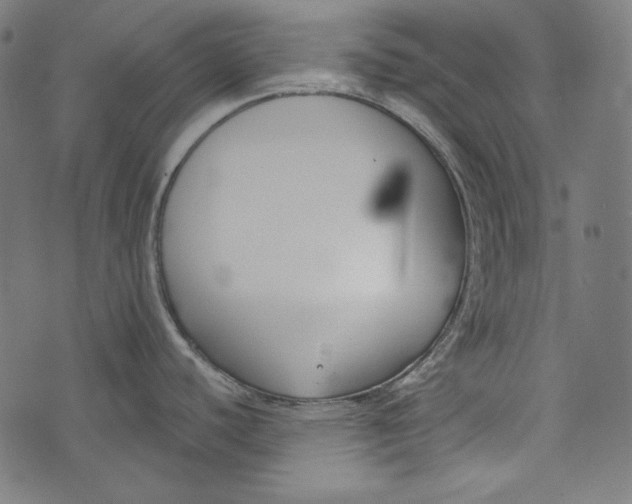 X0000073951440200609181350