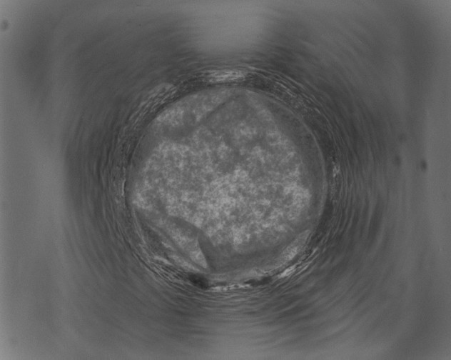 X0000073951441200609181349