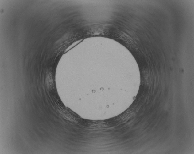 X0000073951442200609181349