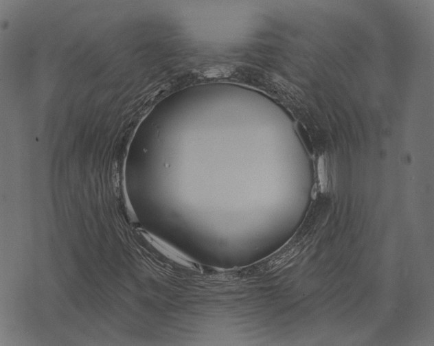 X0000073951443200609181349