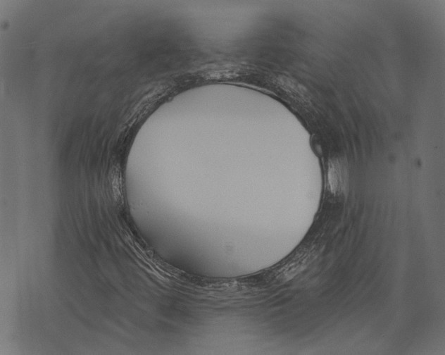 X0000073951444200609181349