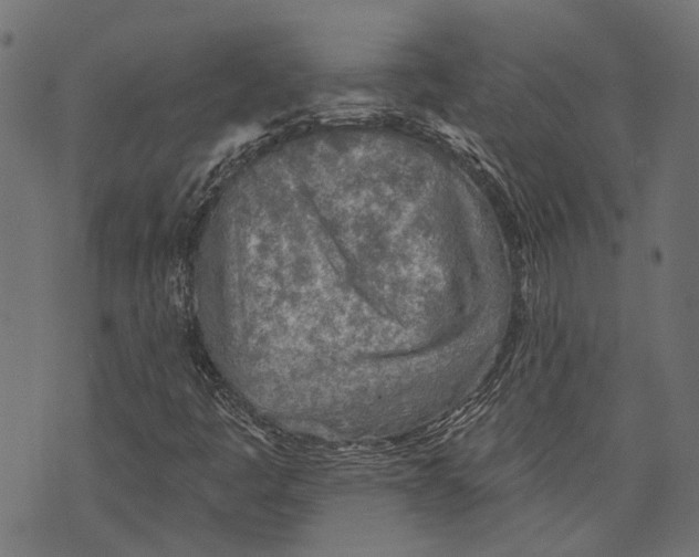 X0000073951445200609181349