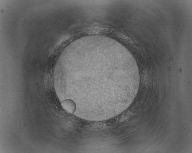 X0000073951446200609181349