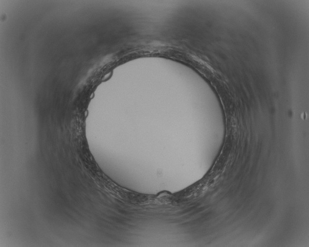 X0000073951447200609181349