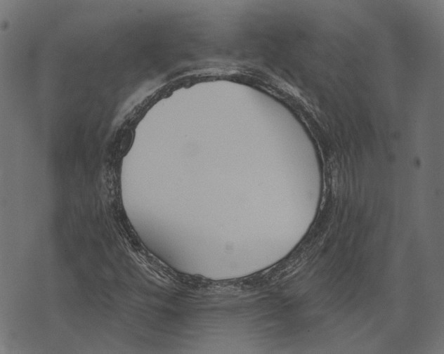 X0000073951448200609181349