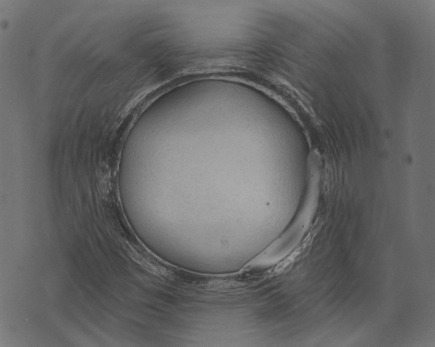 X0000073951449200609181349