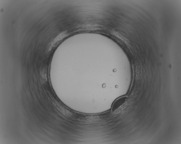 X0000073951451200609181349