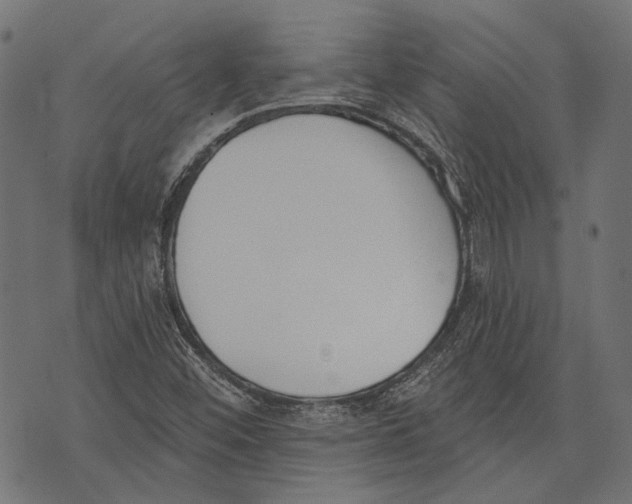 X0000073951452200609181349