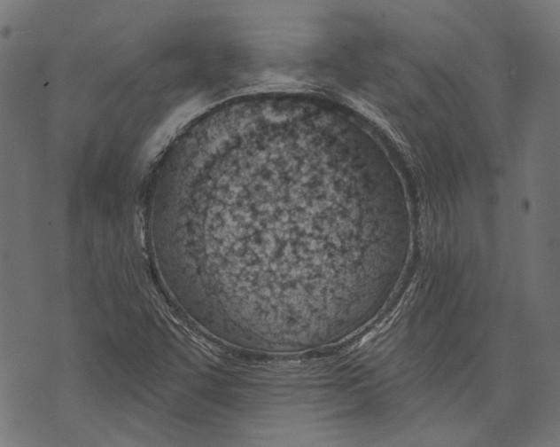 X0000073951455200609181349