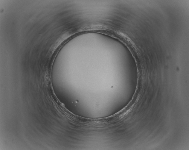 X0000073951457200609181349