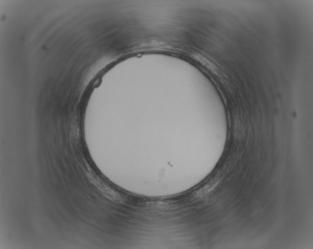 X0000073951458200609181349