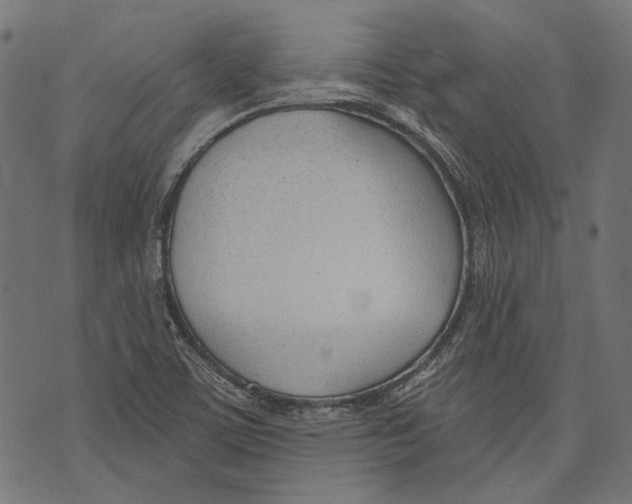 X0000073951459200609181349