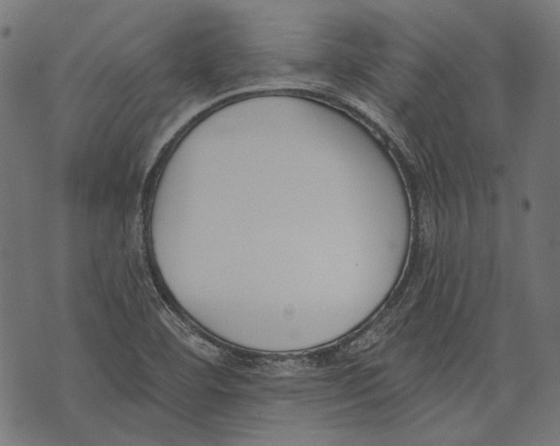 X0000073951460200609181349