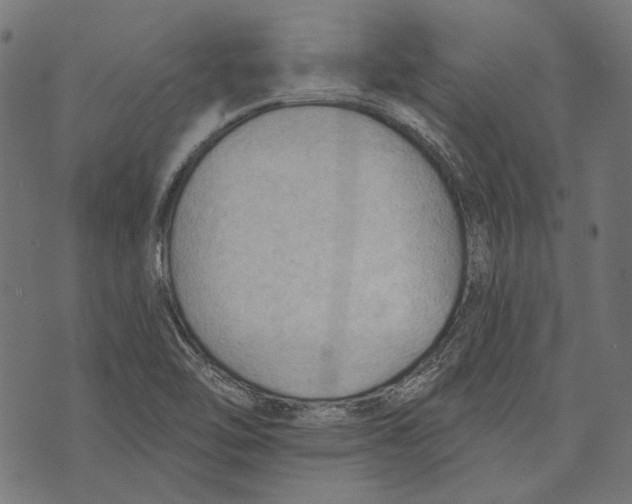 X0000073951462200609181349