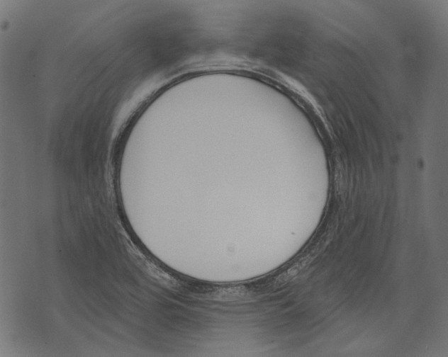 X0000073951464200609181349