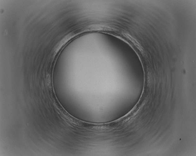 X0000073951465200609181349