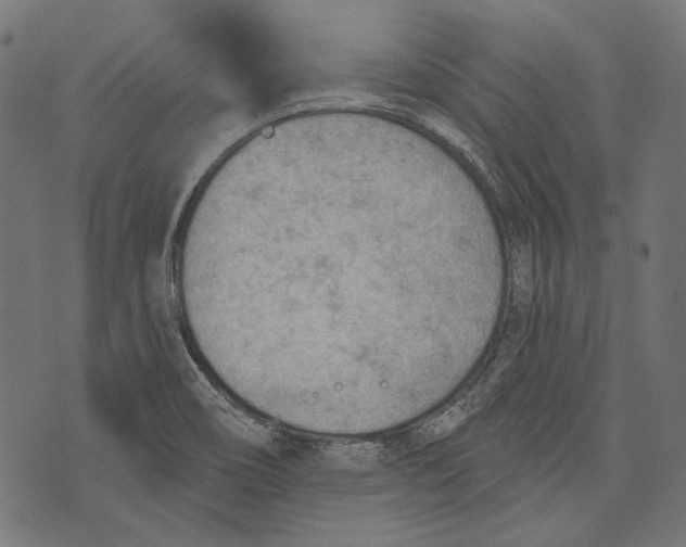 X0000073951466200609181349