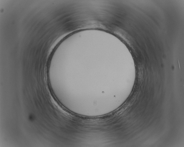 X0000073951468200609181349