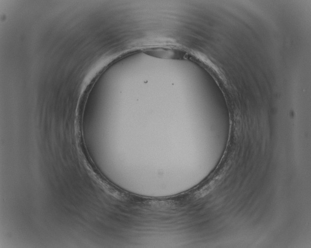 X0000073951469200609181349