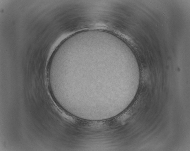 X0000073951470200609181349